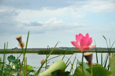 Similar image 124674