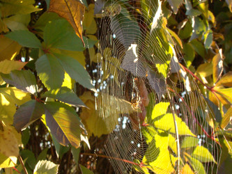 Similar image 124688