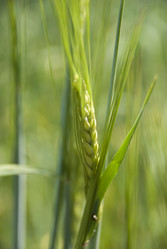 Similar image 124692