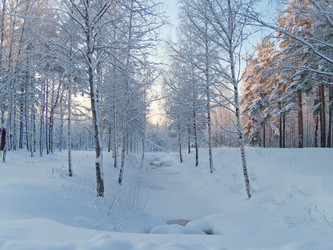 Similar image 124701