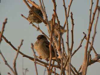 Similar image 124702