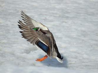 Similar image 124706