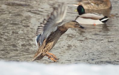 Similar image 124711