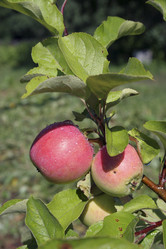 Similar image 124732