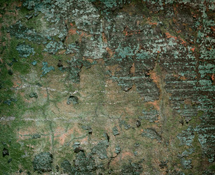 Similar image 124733