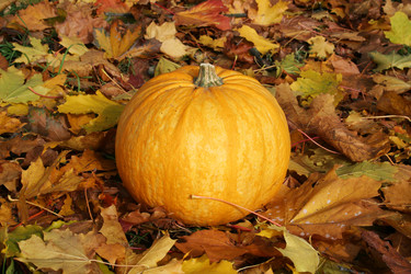 Similar image 124740