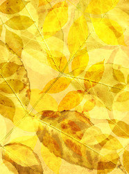 Similar image 124760