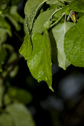 Similar image 124781