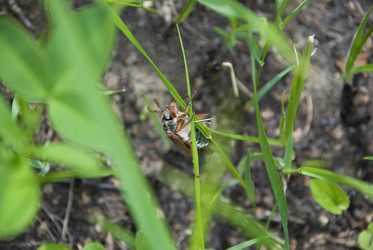 Similar image 124788