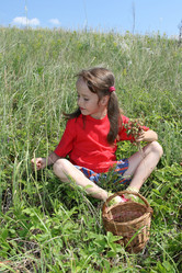 Similar image 124802