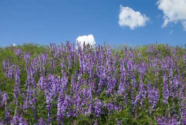 Similar image 124853