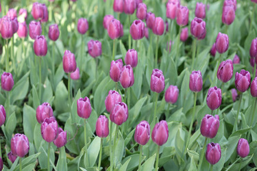 Similar image 124860