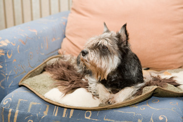 Similar image 124865