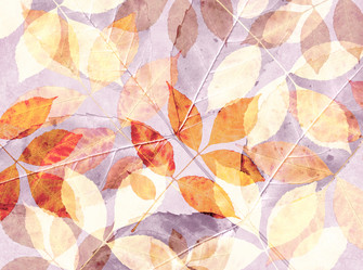 Similar image 124935