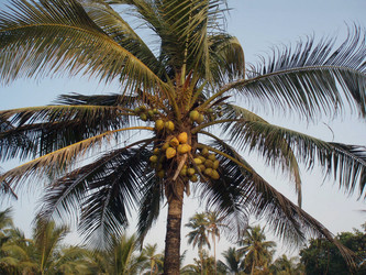 Similar image 124957