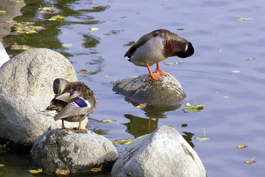 Similar image 124960