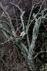 Similar image 124962