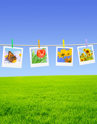 Similar image 125022