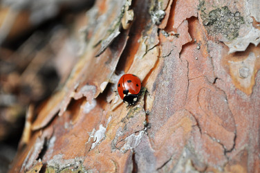 Similar image 125030