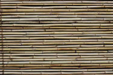 Similar image 125068