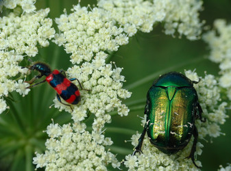 Similar image 125071