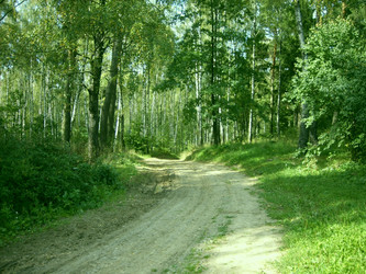 Similar image 125077