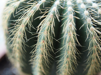 Similar image 125084