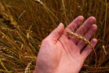 Similar image 125088