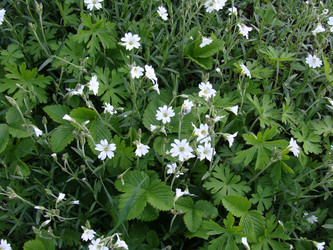 Similar image 125111