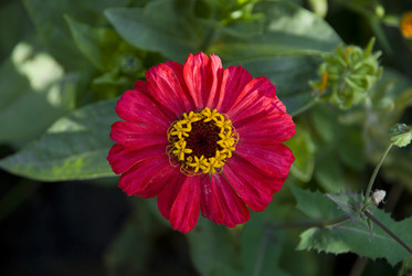 Similar image 125114