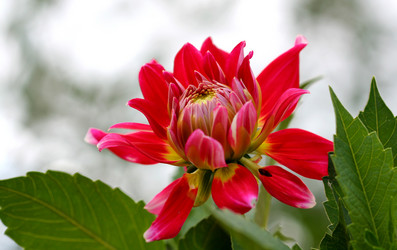 Similar image 125115