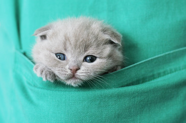 Similar image 125130