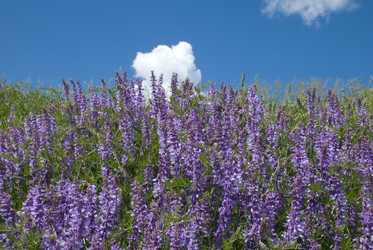 Similar image 125140