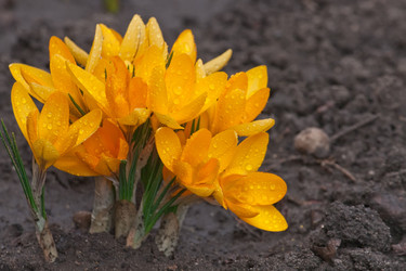 Similar image 125198