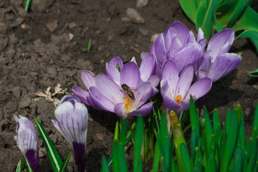 Similar image 125200