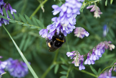 Similar image 125223