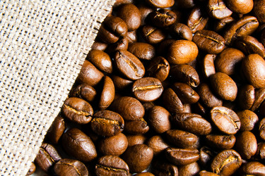 Similar image 125259