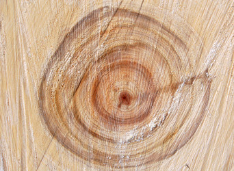 Similar image 125285