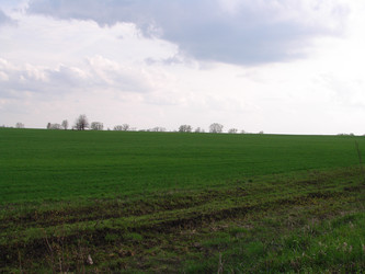 Similar image 125307