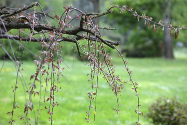 Similar image 125312