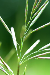 Similar image 125313