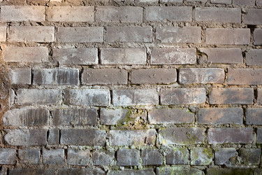 Similar image 125334