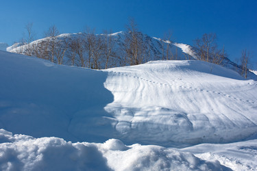 Similar image 125366