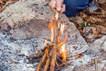 Similar image 125392