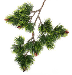 Similar image 125394