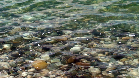 Similar image 125475