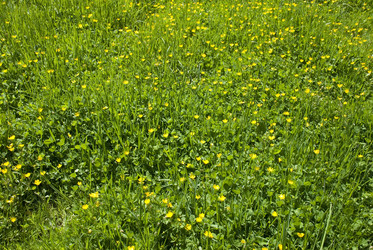 Similar image 125527