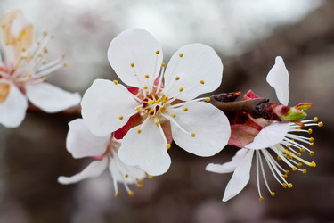 Similar image 125555