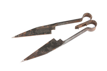 Similar image 125557