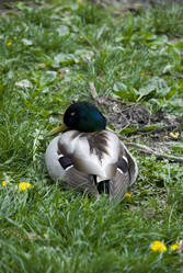 Similar image 125595